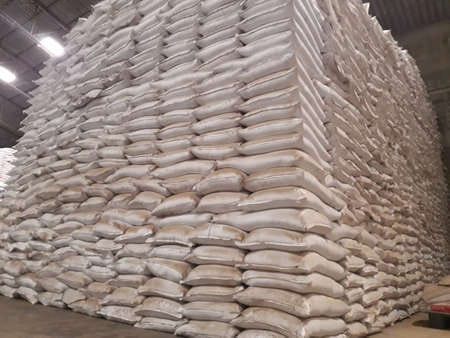 Agriculture : une distribution de 85 000 tonnes d’engrais annoncée par les autorités -A quand la promotion de la culture bio au Togo ?