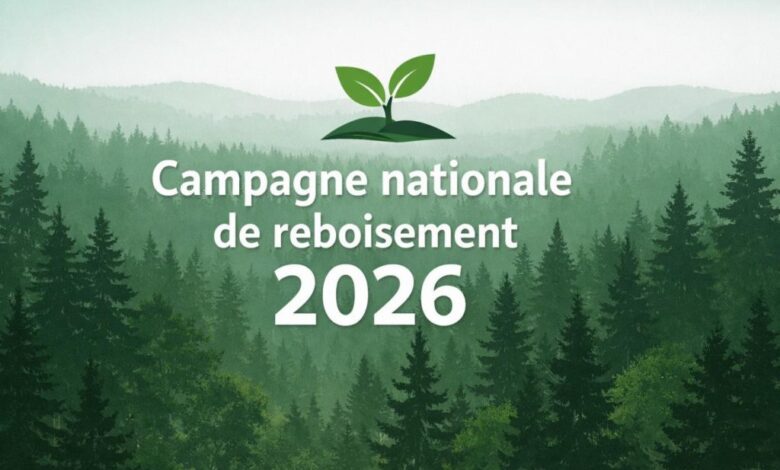 Campagne de reboisement 2026 : les autorités et les acteurs impliqués se mobilisent
