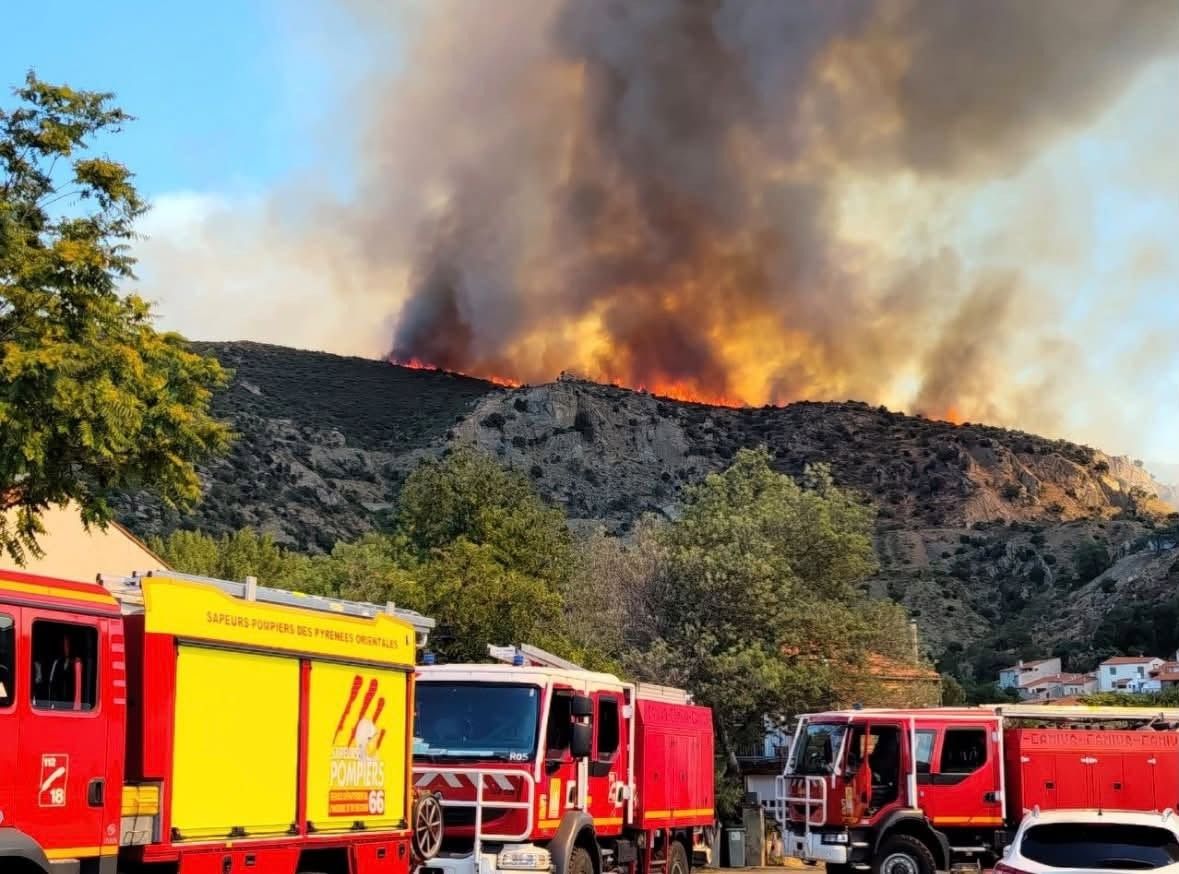 Les incendies dans le sud de la France : 800 pompiers mobilisés pour empêcher la propagation du feu 